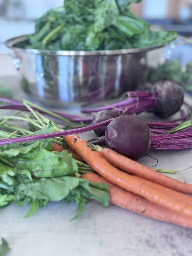 Beets and carrots for Gumbo Z'herbes