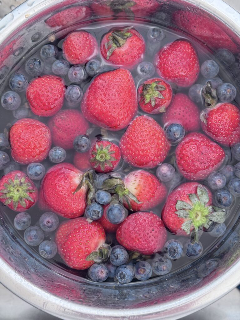 Strawberries and blueberries for Oatmeal Parfait