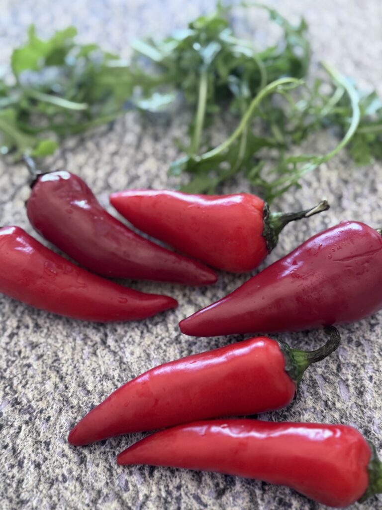 fresno chili peppers to make the chili oil