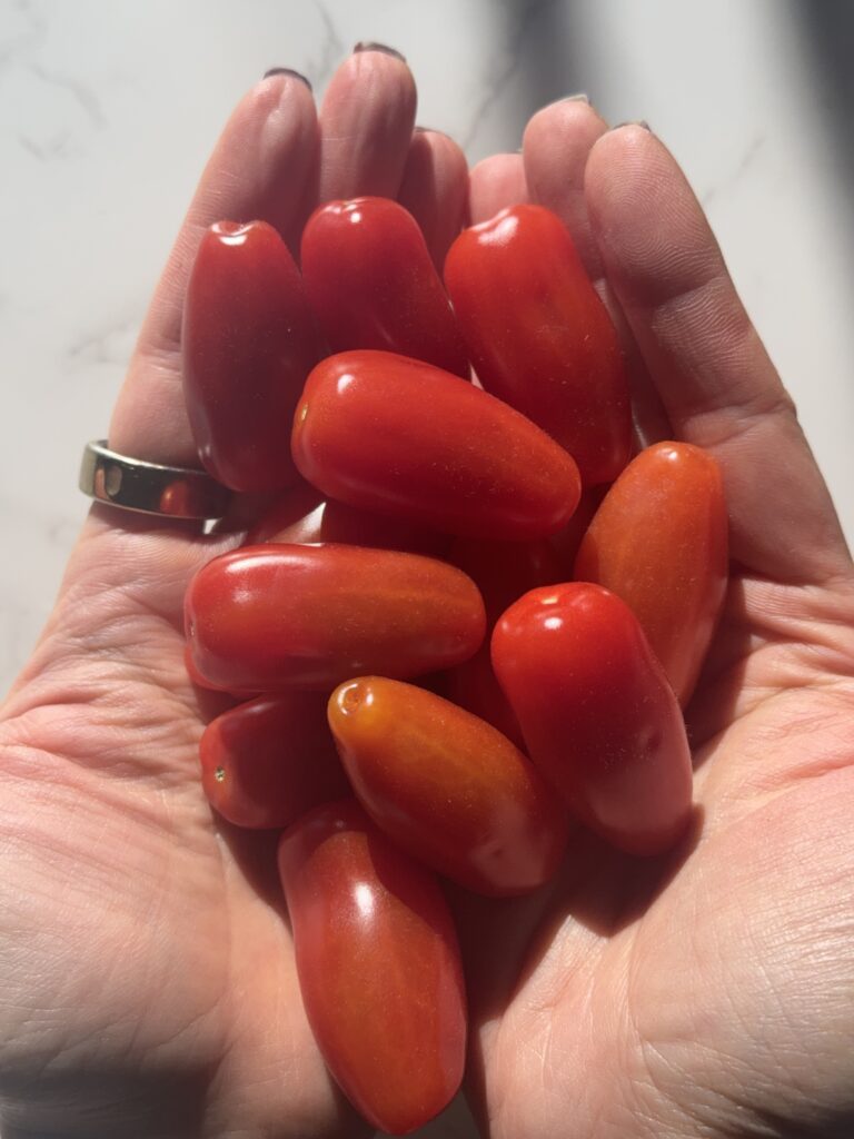 San Marzano tomtoes