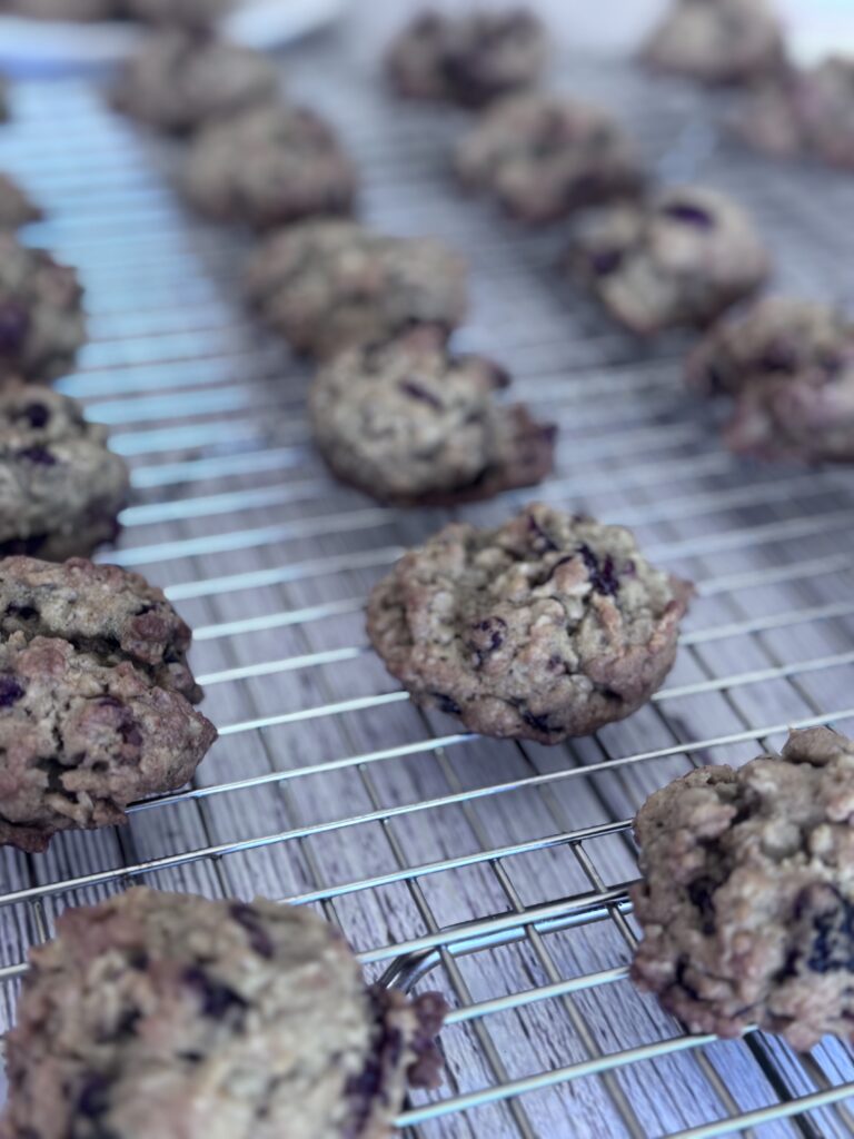 Cranberry Oatmeal Cookies